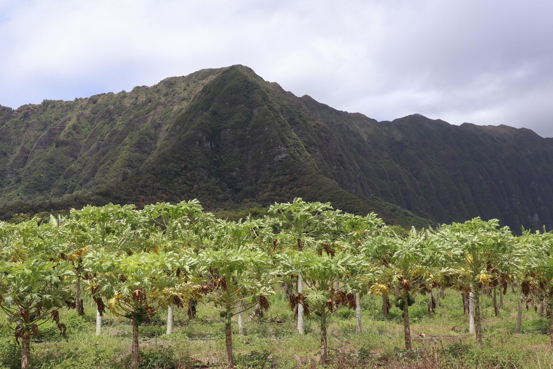 Honolulu, Hawai‘i